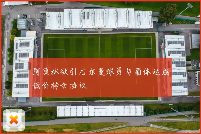 阿莫林欲引尤尔曼球员与葡体达成低价转会协议