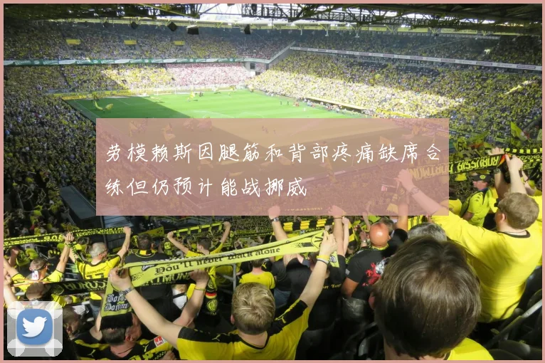 劳模赖斯因腿筋和背部疼痛缺席合练但仍预计能战挪威